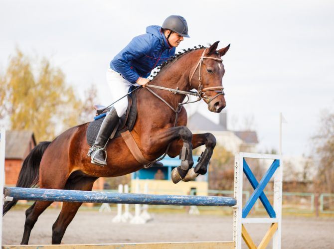 The Importance of Choosing the Right Horse Jumps
